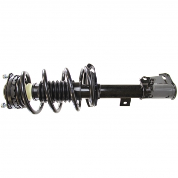 Suspension Strut and Coil Spring Assembly