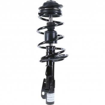Suspension Strut and Coil Spring Assembly