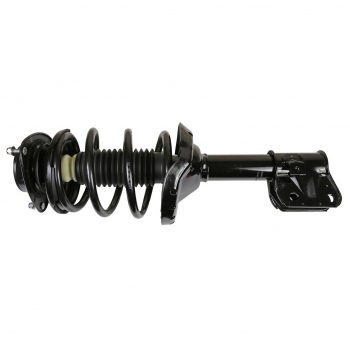 Suspension Strut and Coil Spring Assembly