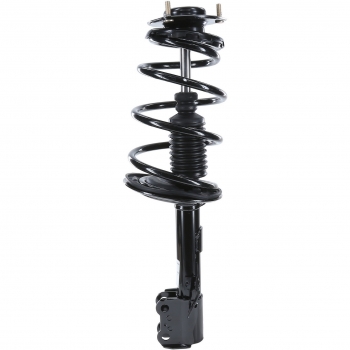 Suspension Strut and Coil Spring Assembly