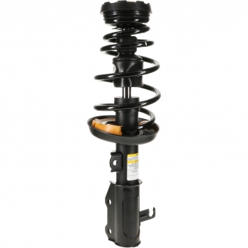 Suspension Strut and Coil Spring Assembly