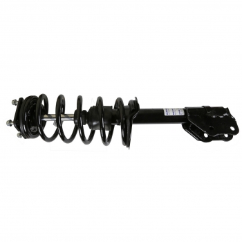Suspension Strut and Coil Spring Assembly