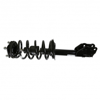 Suspension Strut and Coil Spring Assembly