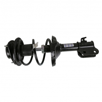 Suspension Strut and Coil Spring Assembly