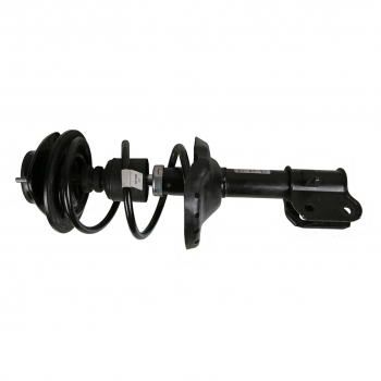 Suspension Strut and Coil Spring Assembly