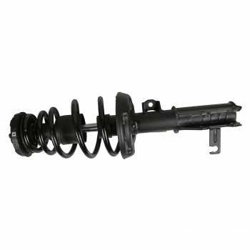 Suspension Strut and Coil Spring Assembly