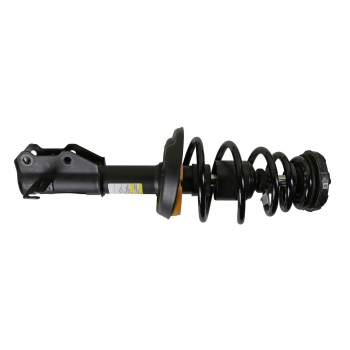 Suspension Strut and Coil Spring Assembly