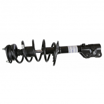 Suspension Strut and Coil Spring Assembly