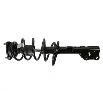 Suspension Strut and Coil Spring Assembly