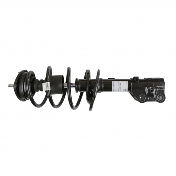 Suspension Strut and Coil Spring Assembly