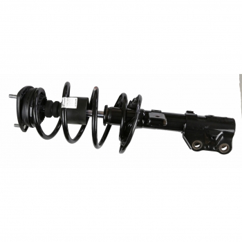 Suspension Strut and Coil Spring Assembly