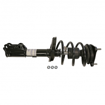Suspension Strut and Coil Spring Assembly