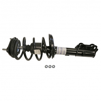Suspension Strut and Coil Spring Assembly