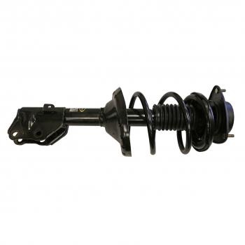 Suspension Strut and Coil Spring Assembly