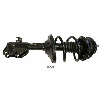 Suspension Strut and Coil Spring Assembly