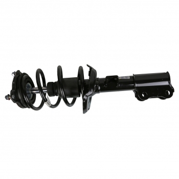 Suspension Strut and Coil Spring Assembly