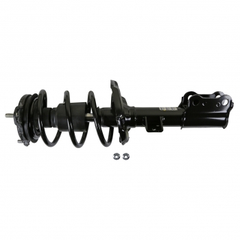 Suspension Strut and Coil Spring Assembly