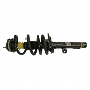 Suspension Strut and Coil Spring Assembly