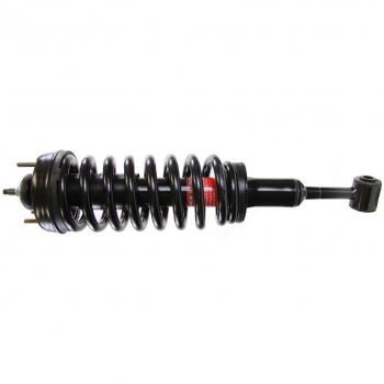 Suspension Strut and Coil Spring Assembly