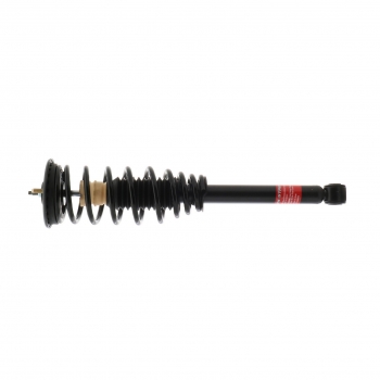 Suspension Strut and Coil Spring Assembly