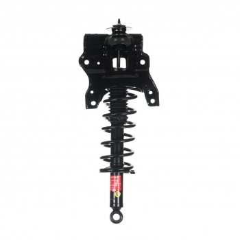 Suspension Strut and Coil Spring Assembly
