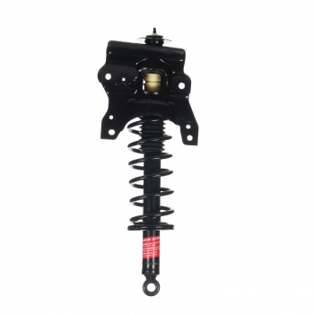 Suspension Strut and Coil Spring Assembly