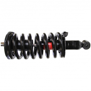 Suspension Strut and Coil Spring Assembly