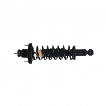 Suspension Strut and Coil Spring Assembly