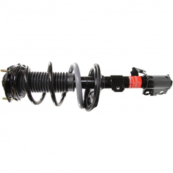Suspension Strut and Coil Spring Assembly