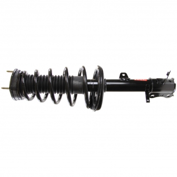 Suspension Strut and Coil Spring Assembly