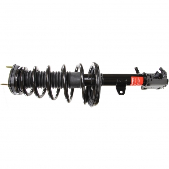 Suspension Strut and Coil Spring Assembly