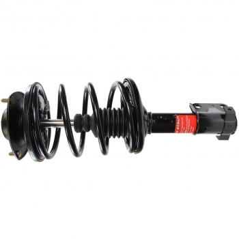 Suspension Strut and Coil Spring Assembly