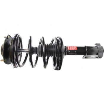 Suspension Strut and Coil Spring Assembly