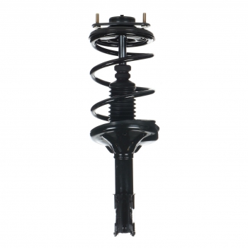 Suspension Strut and Coil Spring Assembly