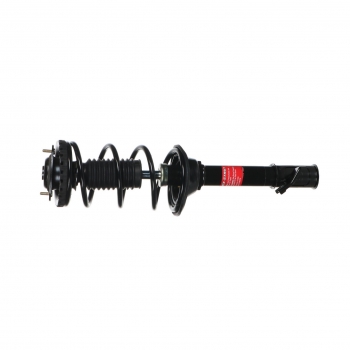 Suspension Strut and Coil Spring Assembly