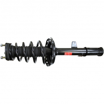 Suspension Strut and Coil Spring Assembly