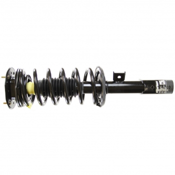 Suspension Strut and Coil Spring Assembly