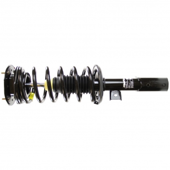 Suspension Strut and Coil Spring Assembly