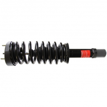 Suspension Strut and Coil Spring Assembly