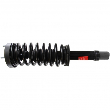 Suspension Strut and Coil Spring Assembly
