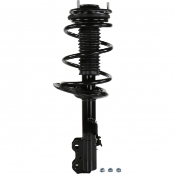 Suspension Strut and Coil Spring Assembly