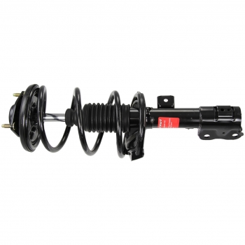 Suspension Strut and Coil Spring Assembly