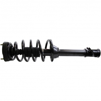 Suspension Strut and Coil Spring Assembly
