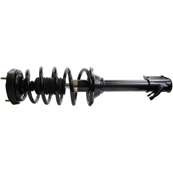 Suspension Strut and Coil Spring Assembly