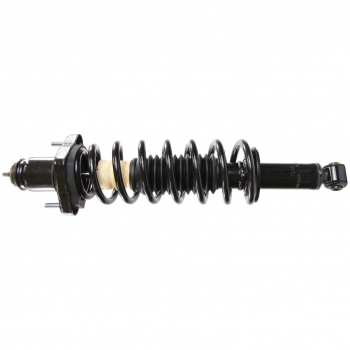 Suspension Strut and Coil Spring Assembly