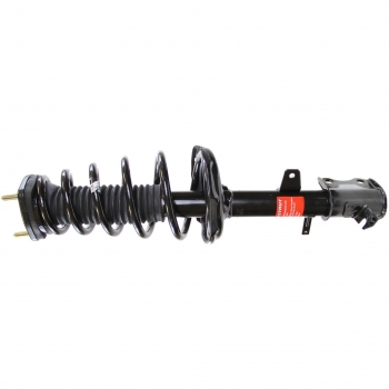 Suspension Strut and Coil Spring Assembly