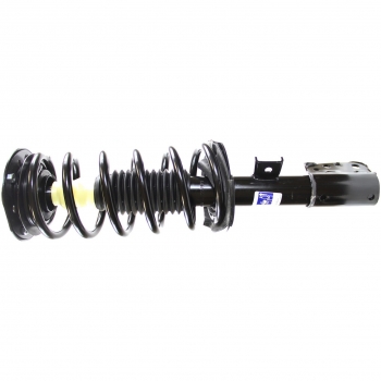 Suspension Strut and Coil Spring Assembly