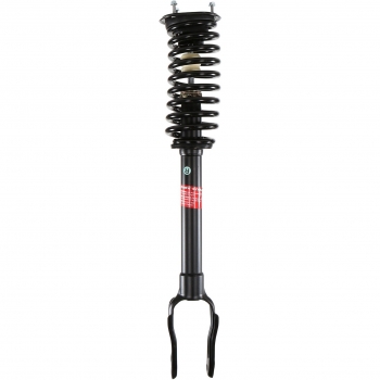 Suspension Strut and Coil Spring Assembly