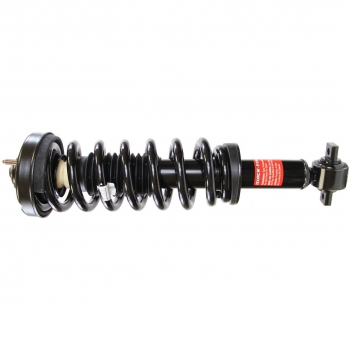 Suspension Strut and Coil Spring Assembly