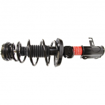 Suspension Strut and Coil Spring Assembly